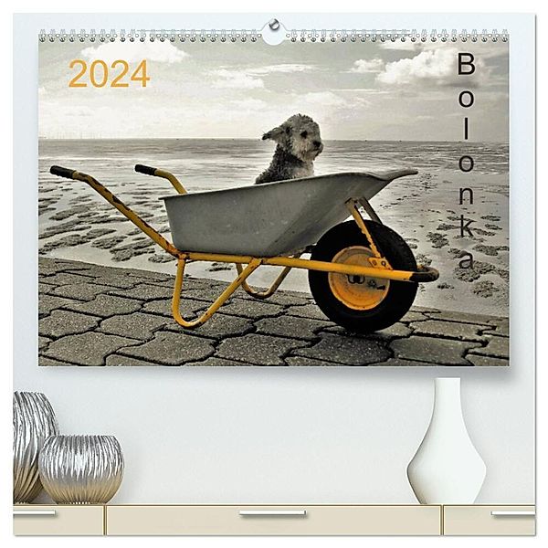 Bolonka 2024 (hochwertiger Premium Wandkalender 2024 DIN A2 quer), Kunstdruck in Hochglanz, C. Winnen