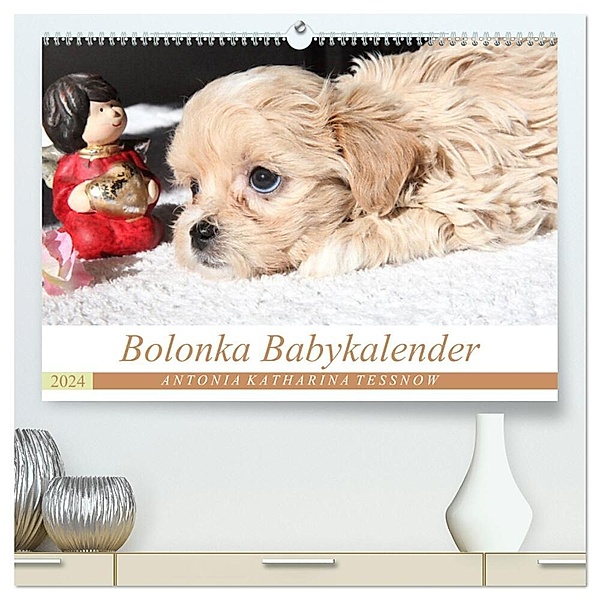 Bolonka Babykalender 2024 (hochwertiger Premium Wandkalender 2024 DIN A2 quer), Kunstdruck in Hochglanz, Antonia Katharina Tessnow