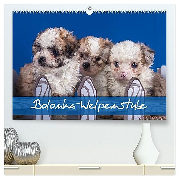 Bolonka Welpenstube (hochwertiger Premium Wandkalender 2024 DIN A2 quer), Kunstdruck in Hochglanz, Gabriela Wejat-Zaretzke