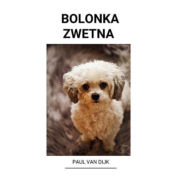 Bolonka Zwetna, Paul van Dijk
