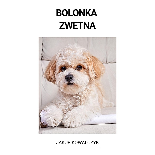 Bolonka Zwetna, Jakub Kowalczyk
