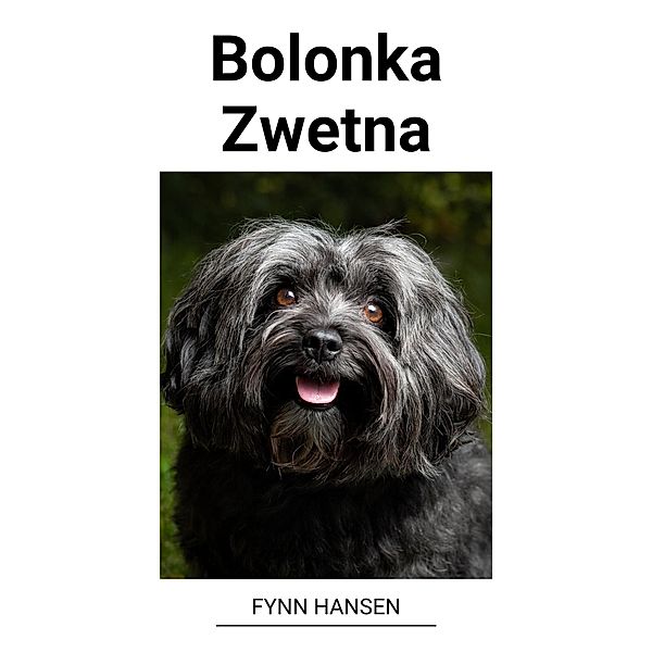 Bolonka Zwetna, Fynn Hansen