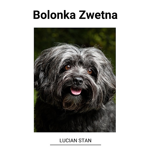 Bolonka Zwetna, Lucian Stan