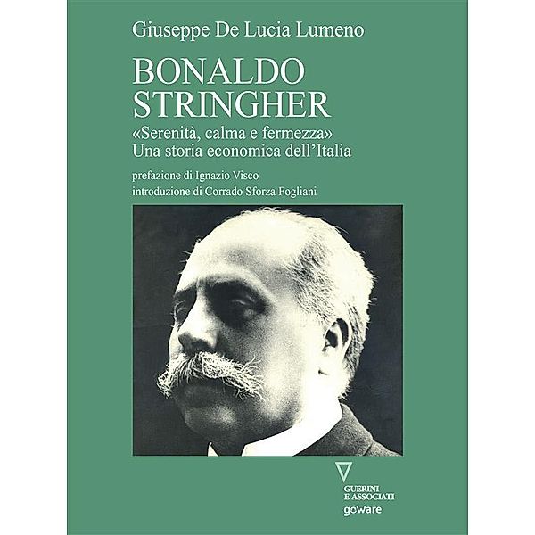 Bonaldo Stringher «Serenità, calma e fermezza». Una storia economica dell'Italia, Giuseppe De Lucia Lumeno
