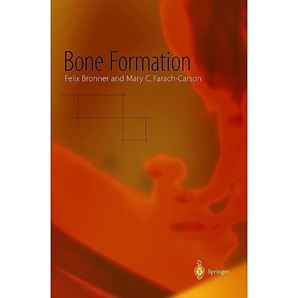 Bone Formation