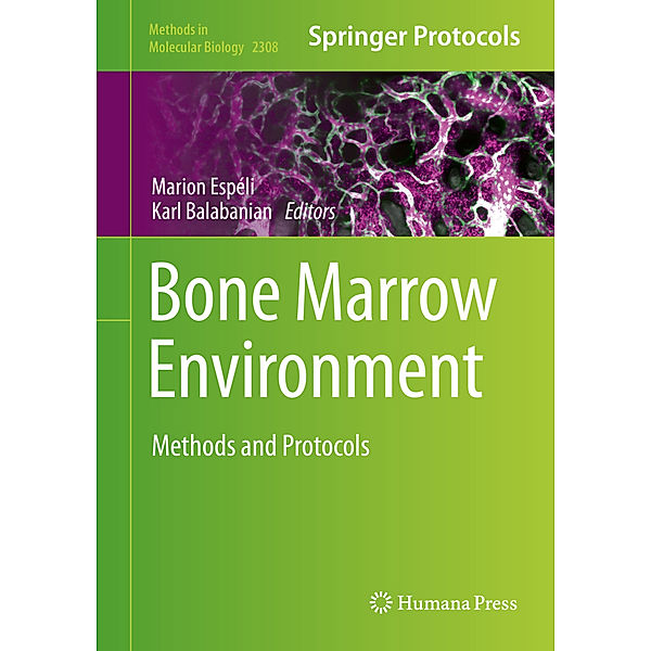 Bone Marrow Environment