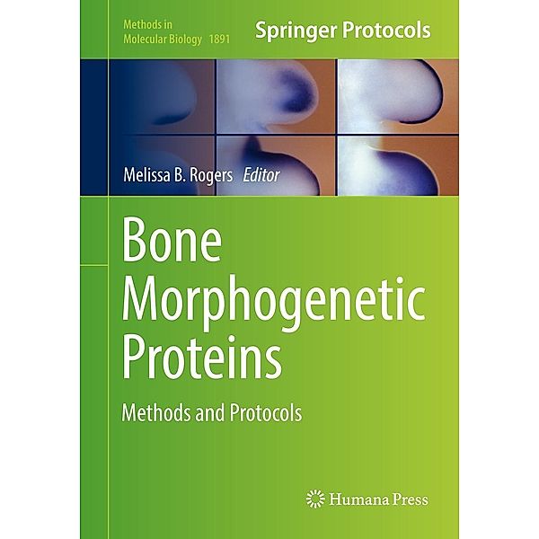 Bone Morphogenetic Proteins / Methods in Molecular Biology Bd.1891