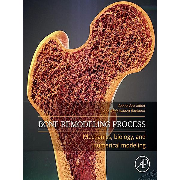 Bone Remodeling Process, Rabeb Ben Kahla, Abdelwahed Barkaoui
