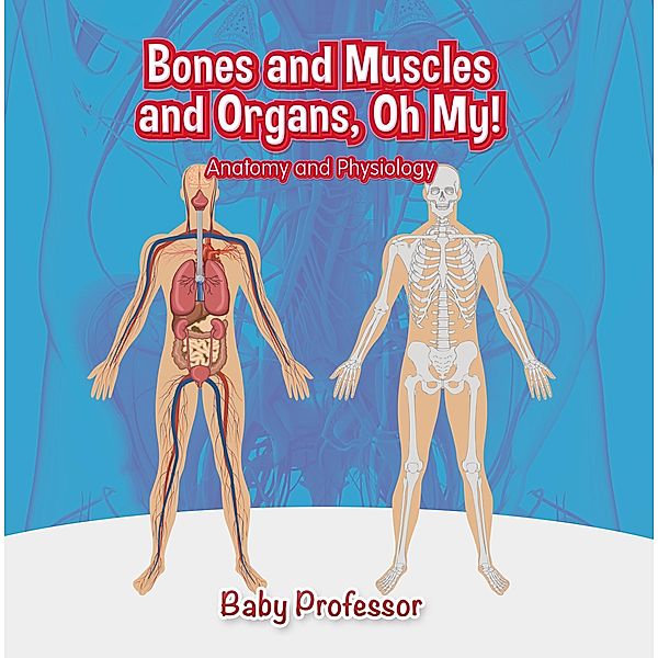 Bones and Muscles and Organs, Oh My! | Anatomy and Physiology / Baby Professor, Baby