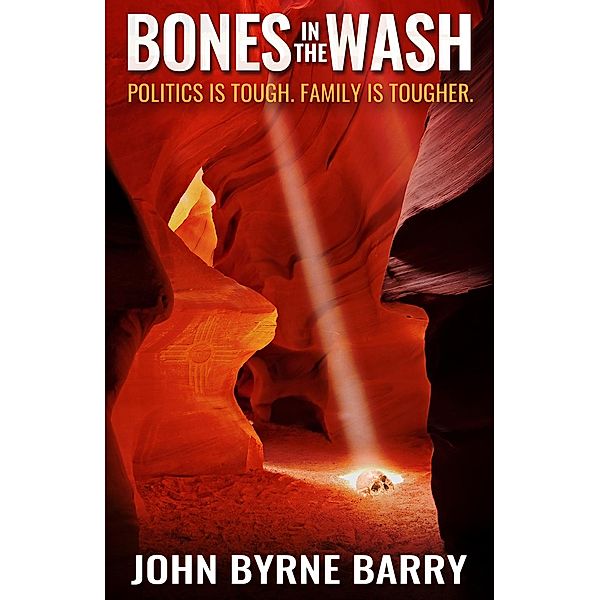 Bones in the Wash: Politics is Tough. Family is Tougher., John Byrne Barry