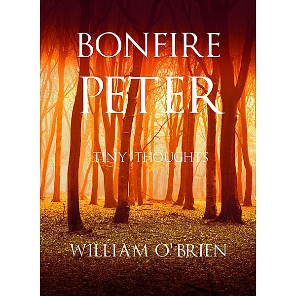 Bonfire Peter (Peter: A Darkened Fairytale, #13) / Peter: A Darkened Fairytale, William O'Brien