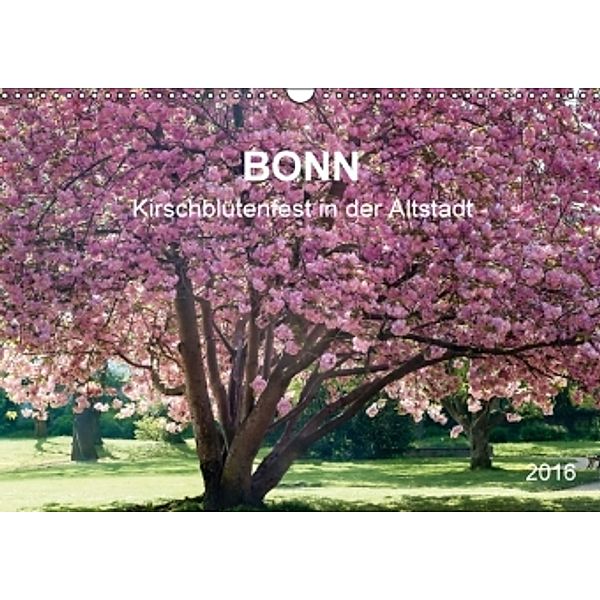 Bonn - Kirschblütenfest in der Altstadt (Wandkalender 2016 DIN A3 quer), Wolfgang Reif
