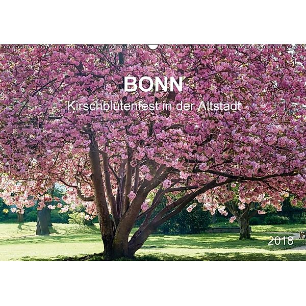 Bonn - Kirschblütenfest in der Altstadt (Wandkalender 2018 DIN A2 quer), Wolfgang Reif