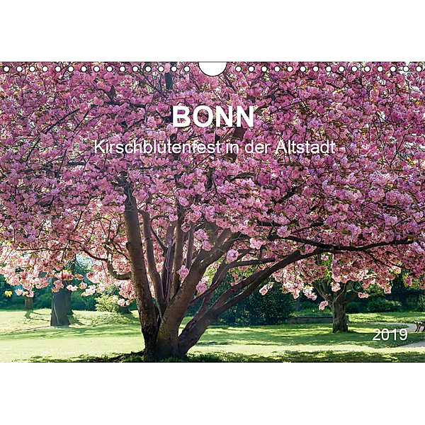 Bonn - Kirschblütenfest in der Altstadt (Wandkalender 2019 DIN A4 quer), Wolfgang Reif