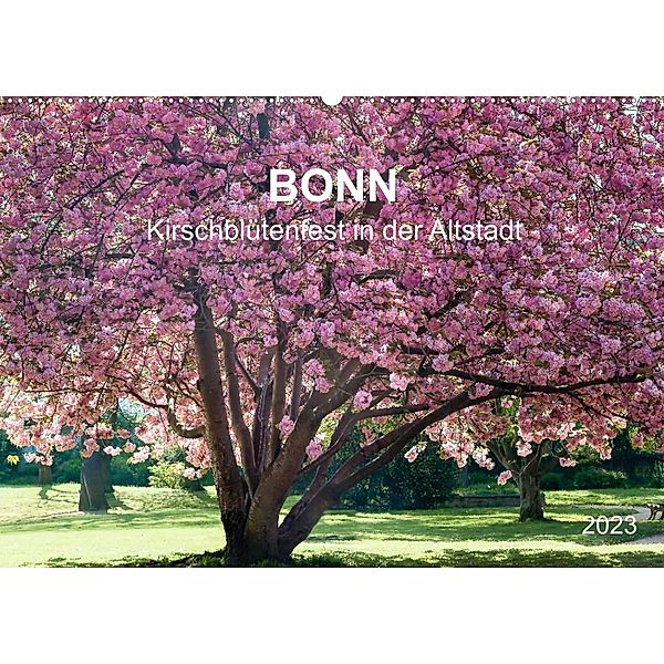 Bonn - Kirschblütenfest in der Altstadt (Wandkalender 2023 DIN A2 quer), Wolfgang Reif