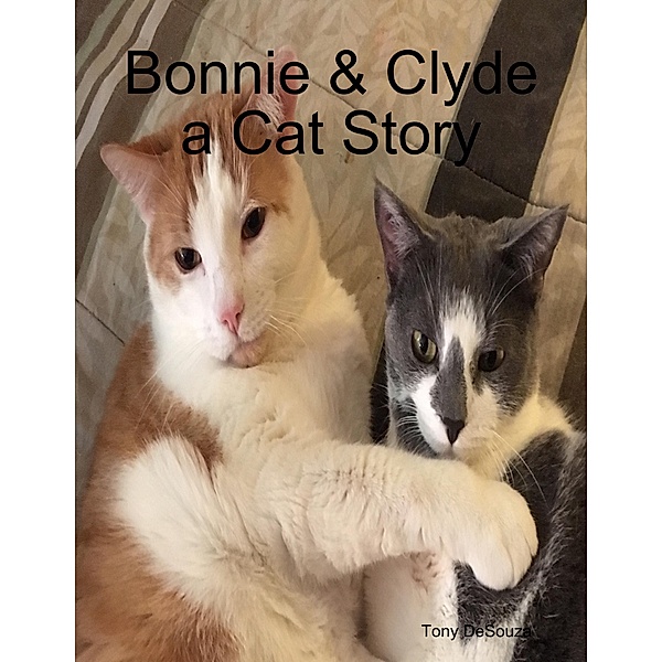 Bonnie & Clyde a Cat Story, Tony Desouza