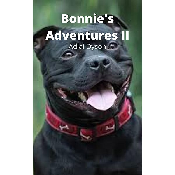 Bonnie's Adventures 2, Adlai Dyson