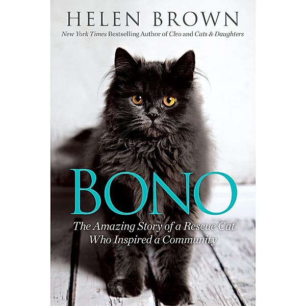 Bono, Helen Brown
