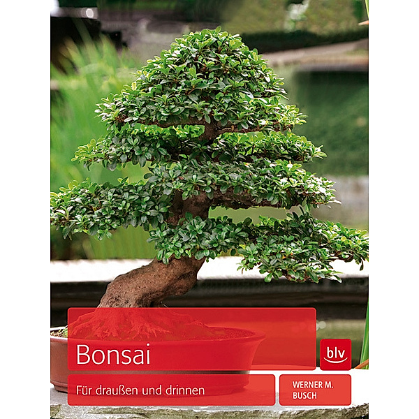 Bonsai, Werner M. Busch