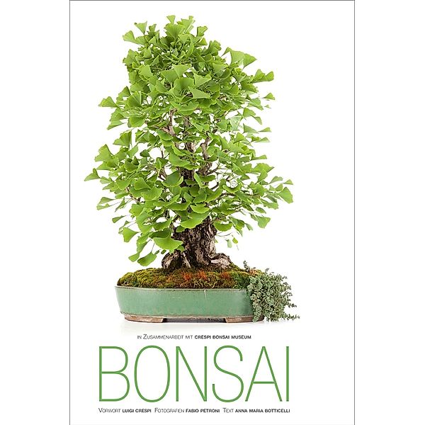 Bonsai, Anna Maria Botticelli, Fabio Petroni