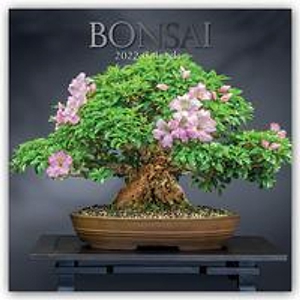 Bonsai 2022 - 16-Monatskalender, The Gifted Stationery Co. Ltd