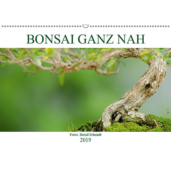 Bonsai ganz nah (Wandkalender 2019 DIN A2 quer), Bernd Schmidt