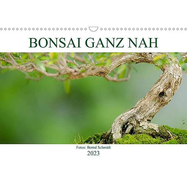 Bonsai ganz nah (Wandkalender 2023 DIN A3 quer), Bernd Schmidt