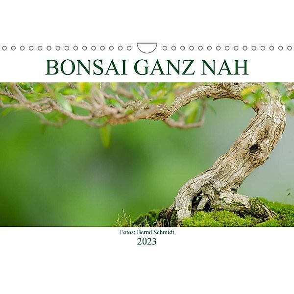 Bonsai ganz nah (Wandkalender 2023 DIN A4 quer), Bernd Schmidt