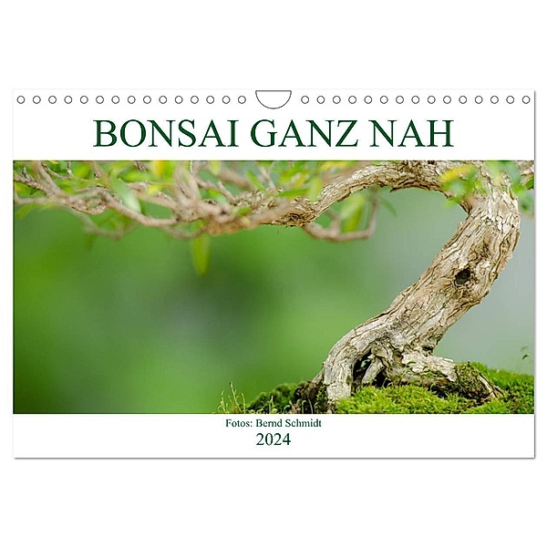 Bonsai ganz nah (Wandkalender 2024 DIN A4 quer), CALVENDO Monatskalender, Bernd Schmidt