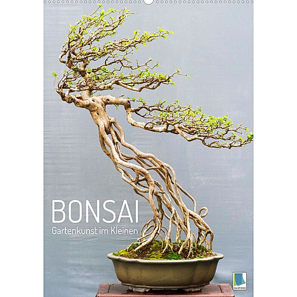 Bonsai: Gartenkunst im Kleinen (Wandkalender 2023 DIN A2 hoch), Calvendo