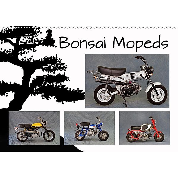 Bonsai Mopeds (Wandkalender 2021 DIN A2 quer), Ingo Laue