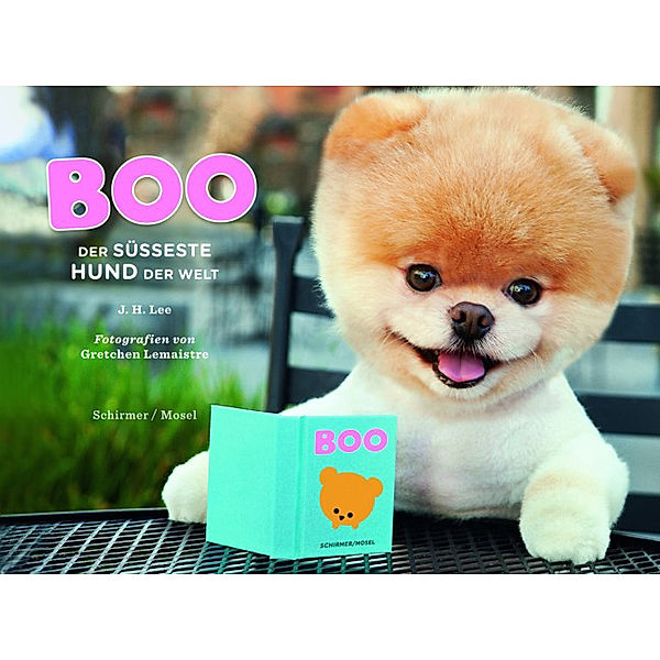 Boo - Der süßeste Hund der Welt