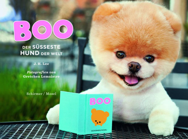 Boo - Der süsseste Hund Welt Buch online Weltbild.ch