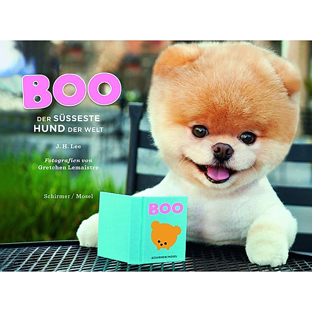 Boo - Der süßeste Hund der Welt Buch versandkostenfrei bei Weltbild.de  bestellen