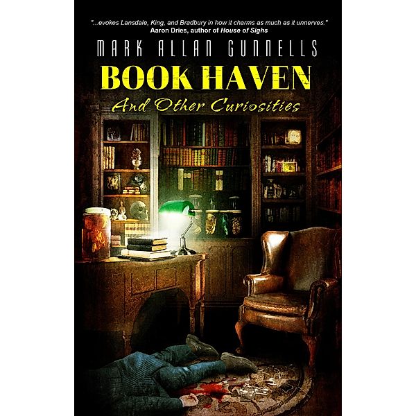 Book Haven: And Other Curiosities, Mark Allan Gunnells