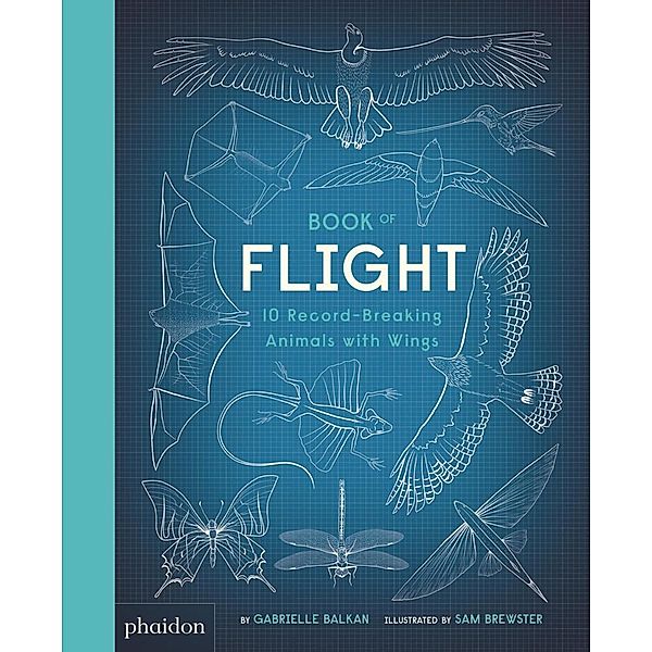 Book of Flight, Gabrielle Balkan