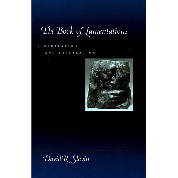 Book of Lamentations, David R. Slavitt
