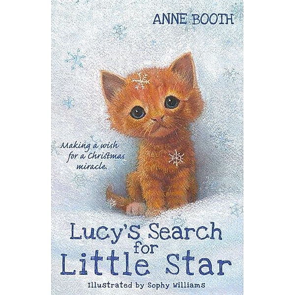 Booth, A: Lucy's Search for Little Star, Anne Booth