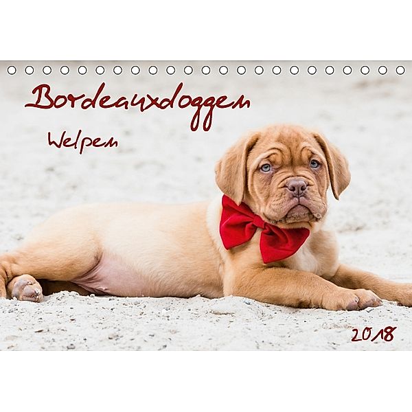 Bordeauxdoggen Welpen (Tischkalender 2018 DIN A5 quer), Nicola Kassat