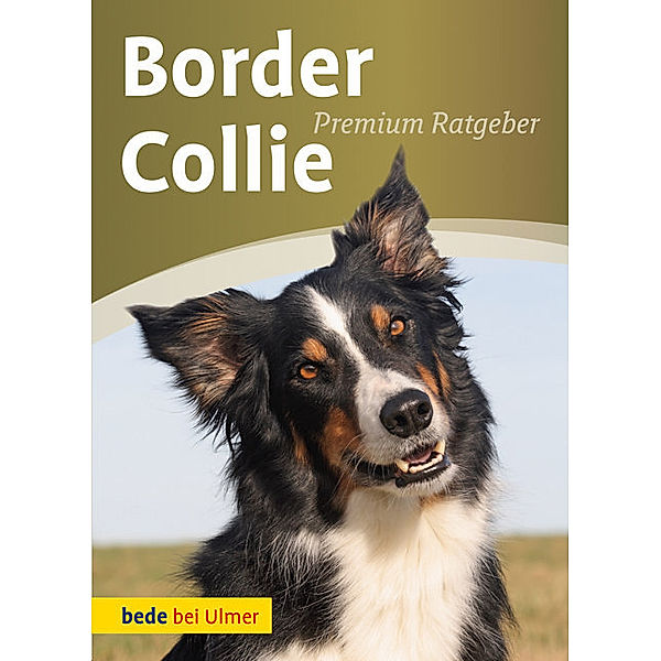 Border Collie, Annette Schmitt