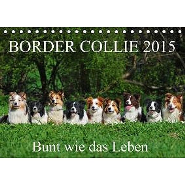 Border Collie 2015 (Tischkalender 2015 DIN A5 quer), Sigrid Starick