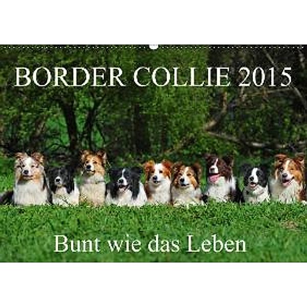 Border Collie 2015 (Wandkalender 2015 DIN A2 quer), Sigrid Starick