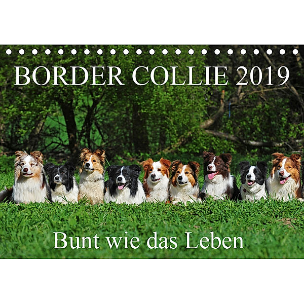 Border Collie 2019 (Tischkalender 2019 DIN A5 quer), Sigrid Starick