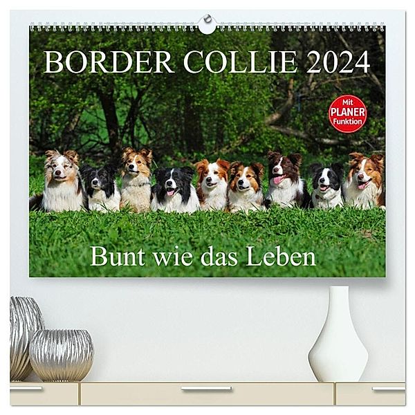 Border Collie 2024 (hochwertiger Premium Wandkalender 2024 DIN A2 quer), Kunstdruck in Hochglanz, Sigrid Starick