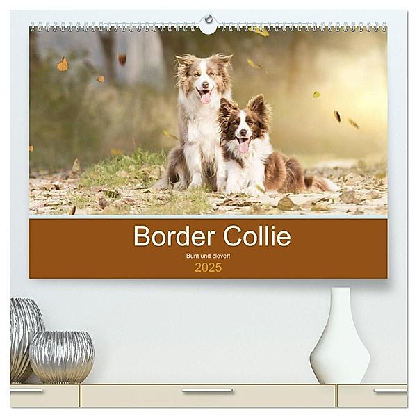 Border Collie - Bunt und clever! (hochwertiger Premium Wandkalender 2025 DIN A2 quer), Kunstdruck in Hochglanz, Calvendo, Andrea Mayer Tierfotografie