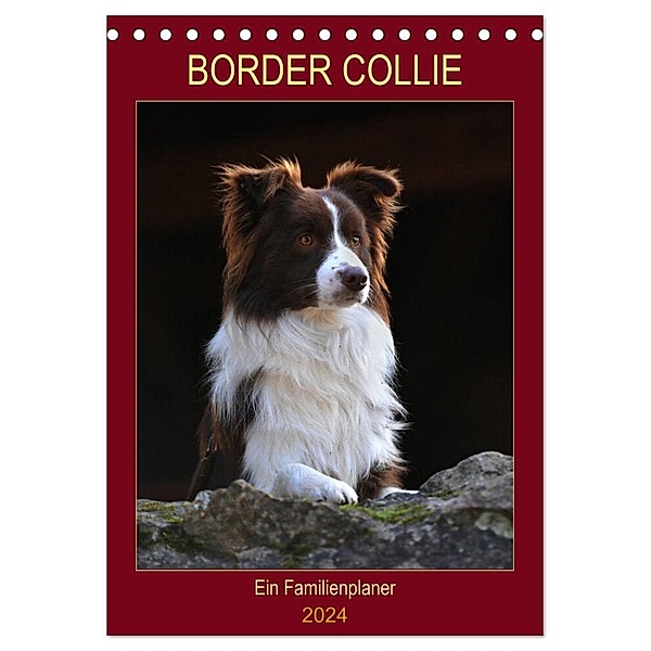 Border Collie - Ein Familienplaner (Tischkalender 2024 DIN A5 hoch), CALVENDO Monatskalender, Sigrid Starick