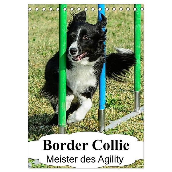 Border Collie Meister des Agility (Tischkalender 2024 DIN A5 hoch), CALVENDO Monatskalender, Homwico