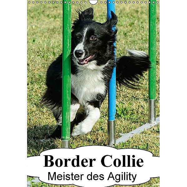 Border Collie Meister des Agility (Wandkalender 2018 DIN A3 hoch), homwico