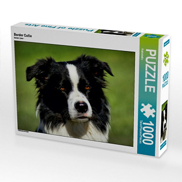 Border Collie (Puzzle), Kattobello