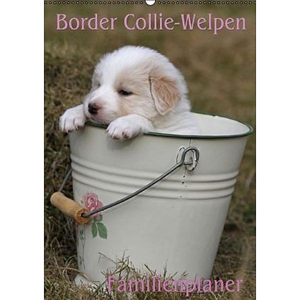 Border Collie-Welpen / AT-Version / Familienplaner (Wandkalender 2015 DIN A2 hoch), Antje Lindert-Rottke